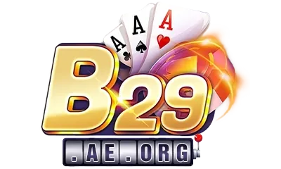 b29 win